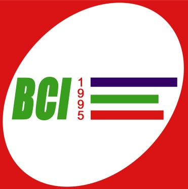 BCI_Engineering_Institute
